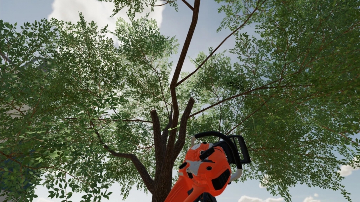 Long Reach Chainsaw v1.0.0.0