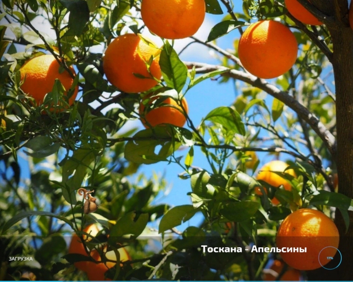 Image: Toscana - Oranges v2.4 4