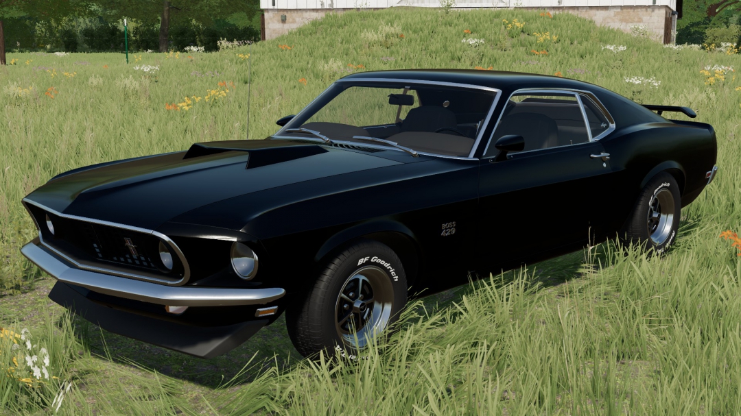 1969 Ford Mustang