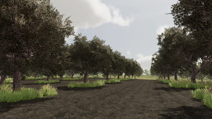 Image: Olives + Olive Picker v1.0.0.0