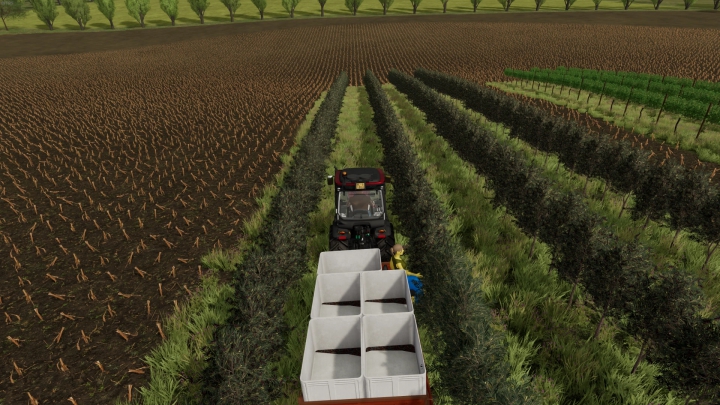 Image: FS22_VineHandHarvestTrailer 1.1.0.0 2