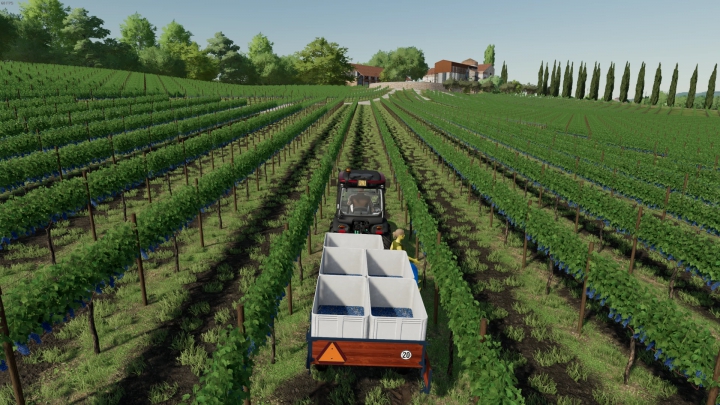 Image: FS22_VineHandHarvestTrailer 1.1.0.0 4