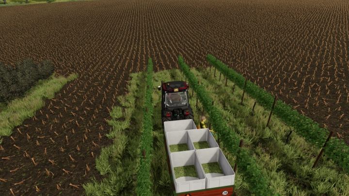 Image: FS22_VineHandHarvestTrailer 1.1.0.0 1