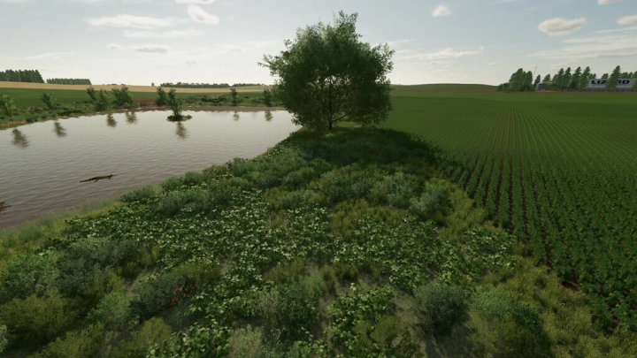 Image: Bacuri Farm 2k22 v1.1.0.0 1