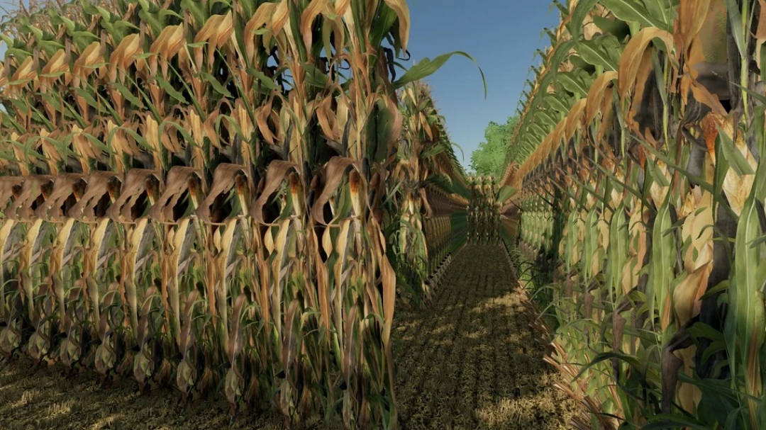 DIY Corn Maze v1.0.0.0