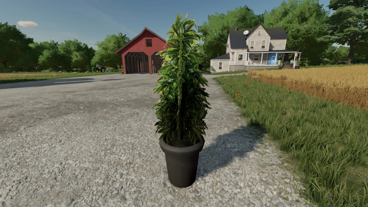 Image: FS22 Cannabis Plants Pack v1.0.0.0