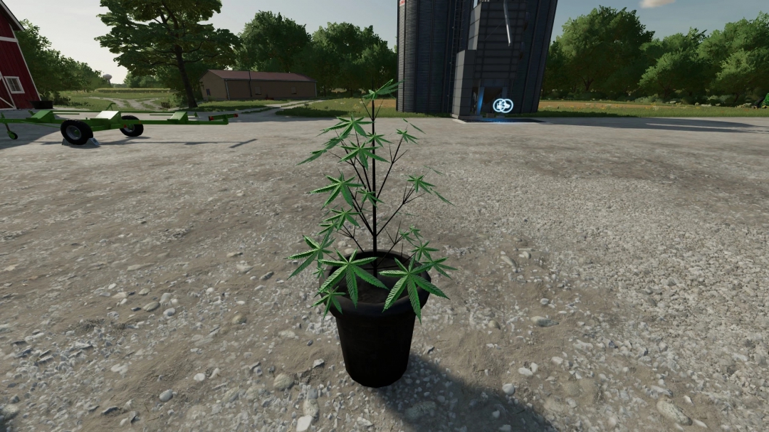 FS22 Cannabis Plants Pack v1.0.0.0