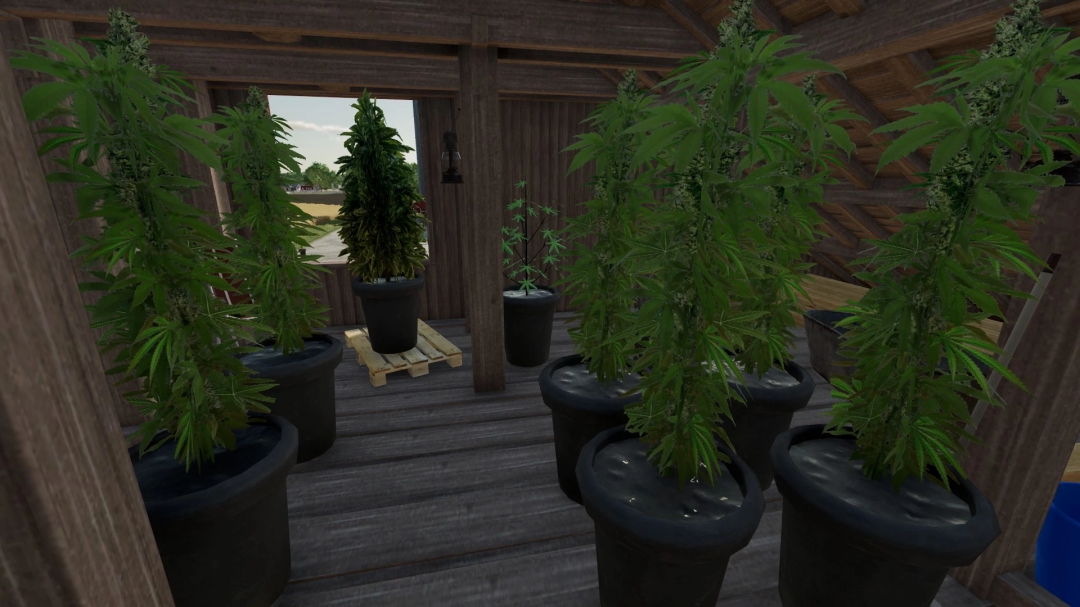 FS22 Cannabis Plants Pack v1.0.0.0