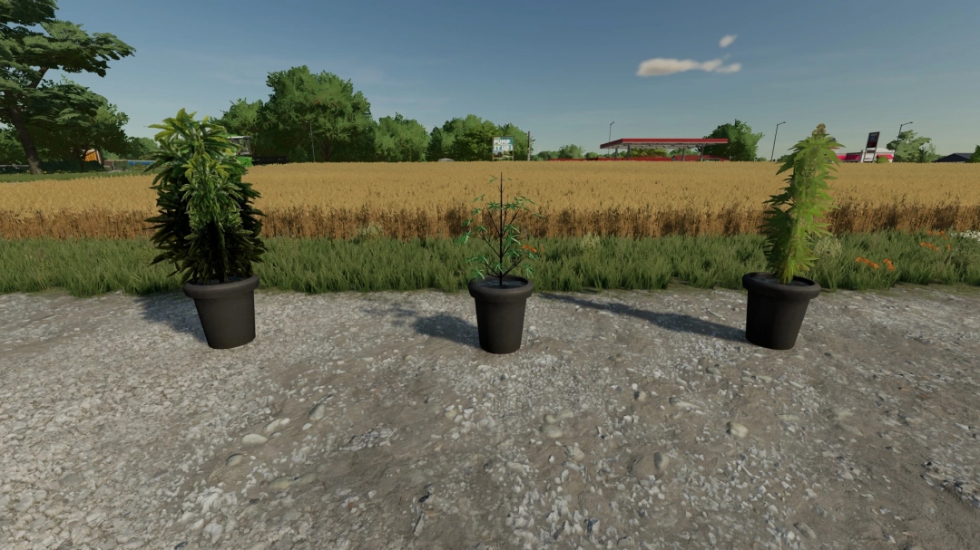 FS22 Cannabis Plants Pack v1.0.0.0