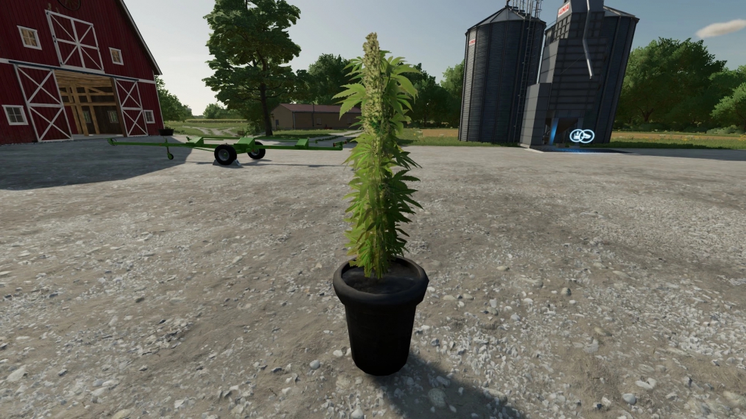 FS22 Cannabis Plants Pack v1.0.0.0