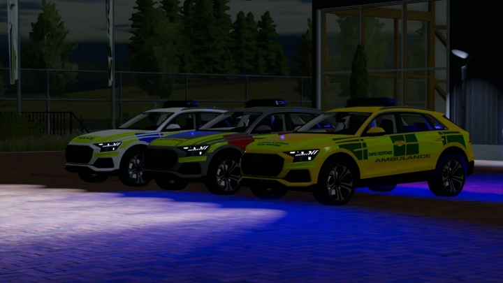 Image: Audi Q8 2019 v2.5.0.0 3