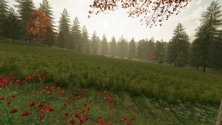 Image: The Risoux Forest v1.3.0.0 1