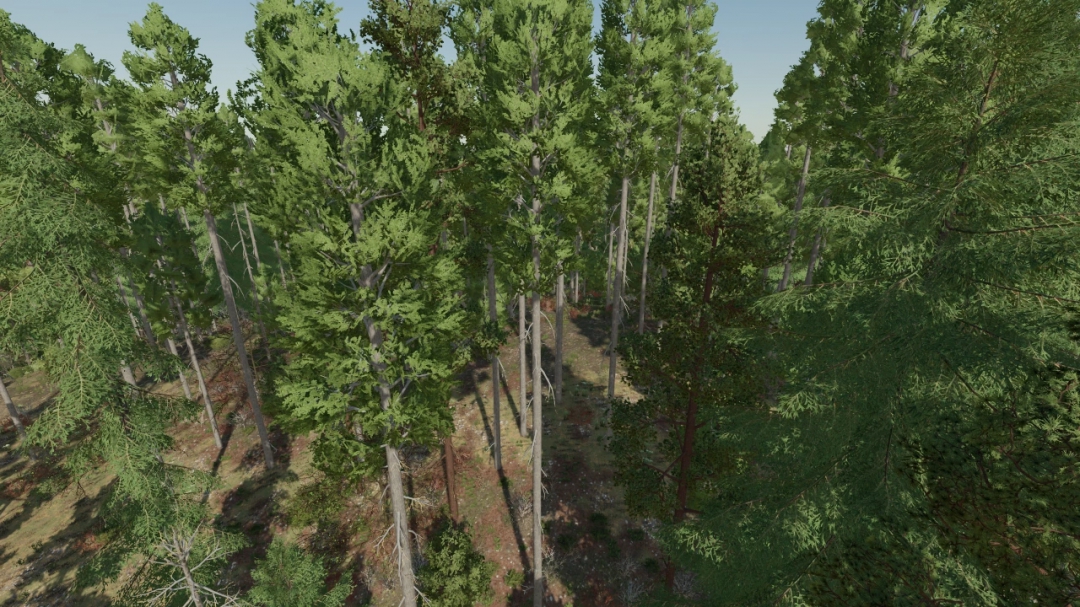 Silver run save game (More trees added) v1.0.0.0