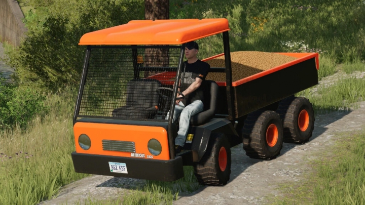 fs22-mods,  Lizard Minor 6x4 v1.0.0.0