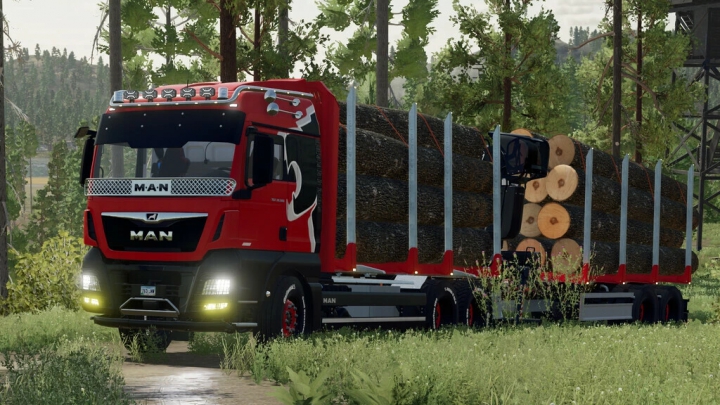 Image: MAN TGX Forest Special v2.0.0.0 0