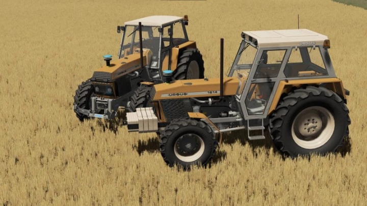 Image: FS22 6Cyl Mokrzyn by Agro_PLUM v1.0.0.0 1