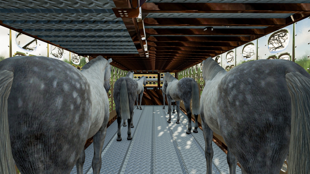 Silverstar Horse Trailer