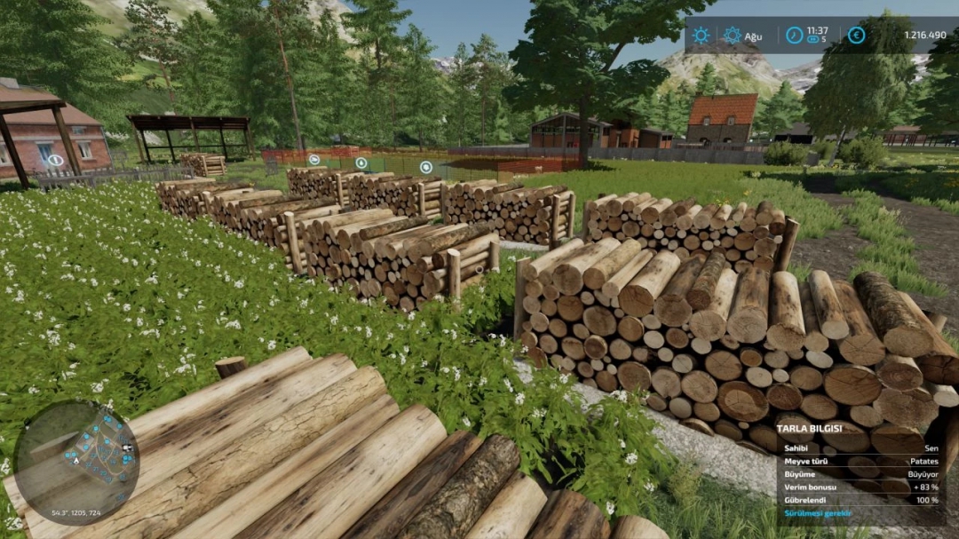 Log decoration v1.0.0.0