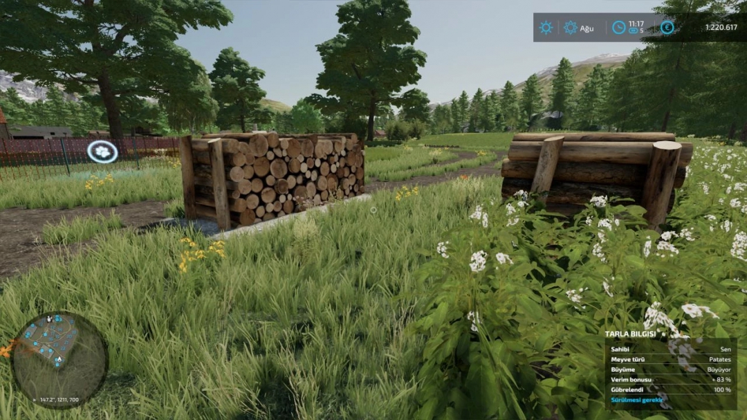 Log decoration v1.0.0.0