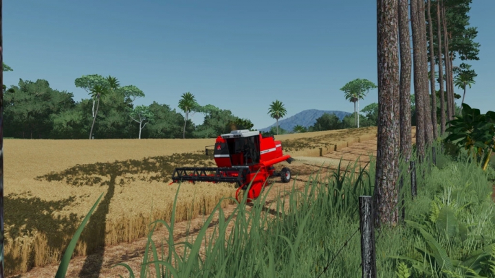 Image: Massey Ferguson 3640 v1.0.0.0 1