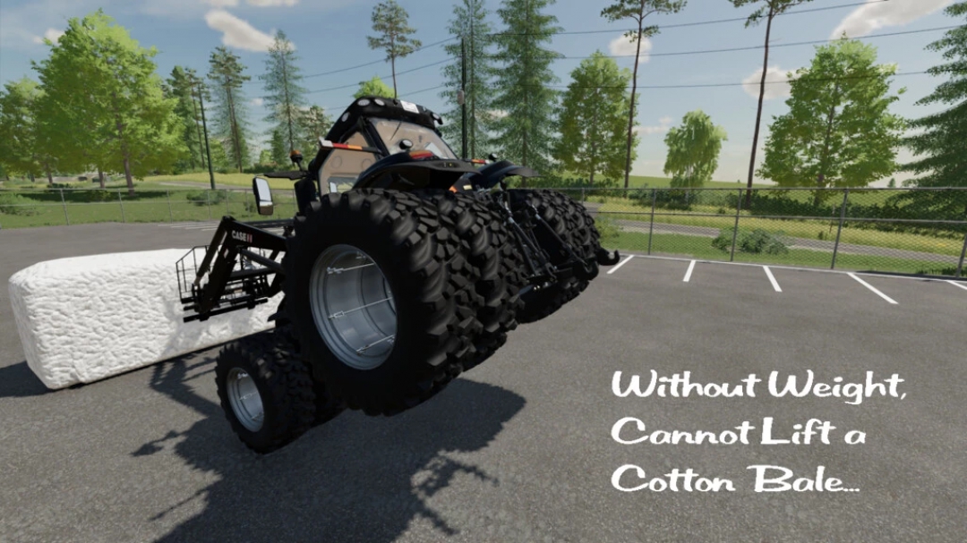 Lizard Configurable Weight v1.0.0.0