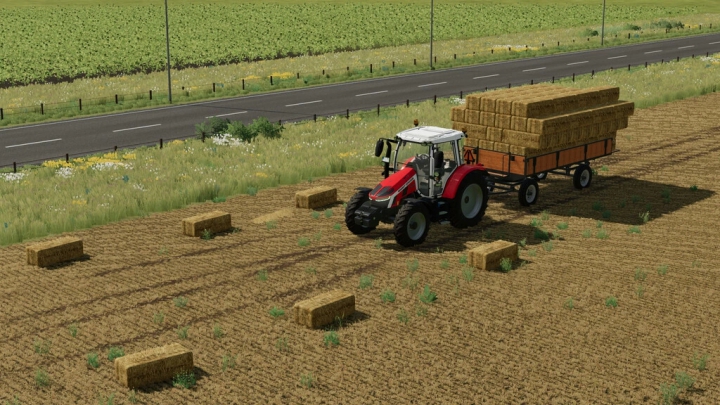 Image: Lizard Small SquareBale Autoloadtrailer v1.0.0.0 2