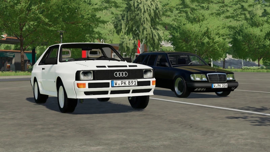 Audi 300 v1.0.0.0