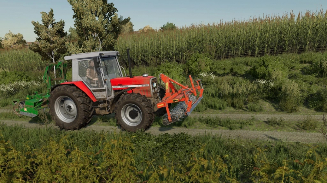 Rau STF 301 v1.0.0.0