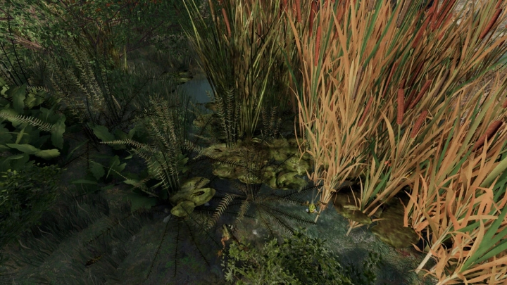 Image: Frogs For Pond v1.0.0.0 5