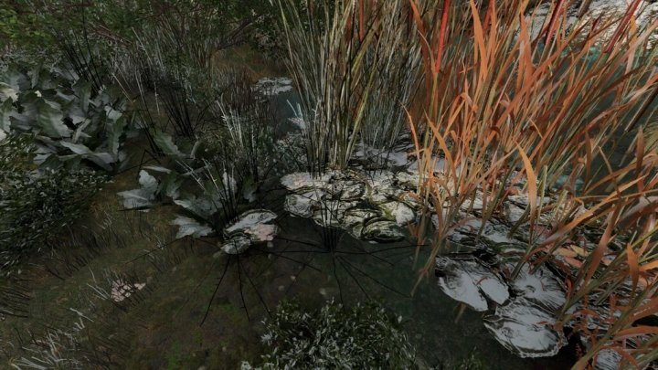 Image: Frogs For Pond v1.0.0.0 3