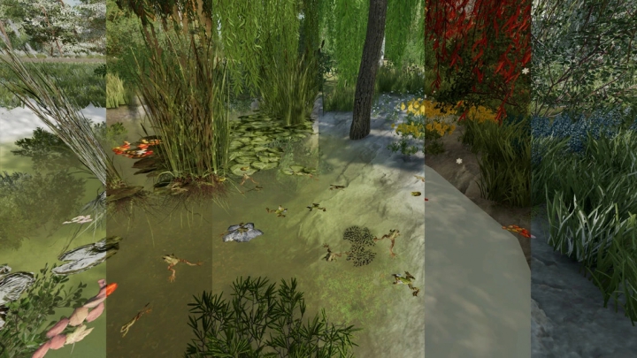 Image: Frogs For Pond v1.0.0.0 1