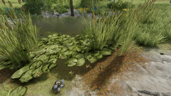 Image: Frogs For Pond v1.0.0.0 2