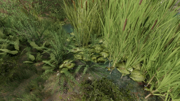 Image: Frogs For Pond v1.0.0.0 0