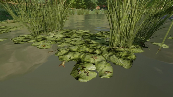 Image: Frogs For Pond v1.0.0.0 4