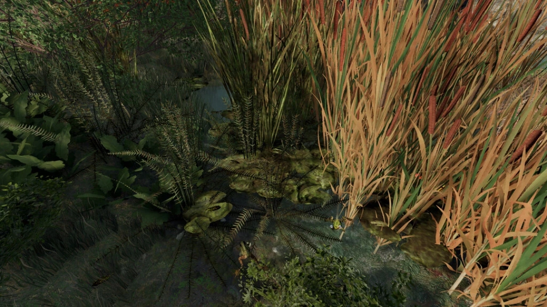 Frogs For Pond v1.0.0.0