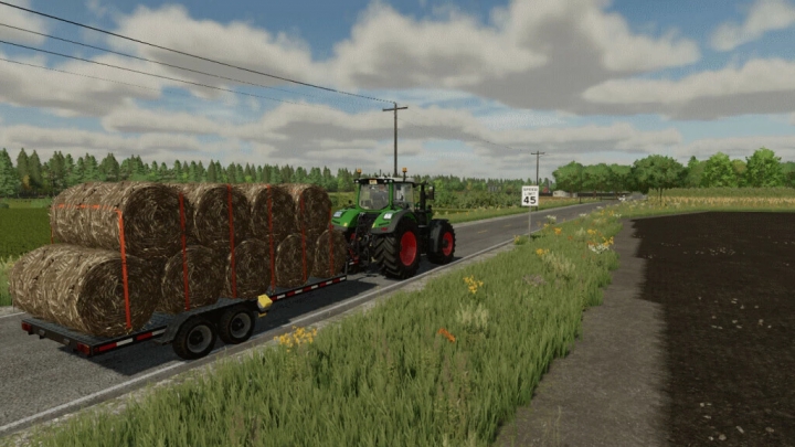 Image: Small Flatbed Autoload Trailer v2.0.0.0 3