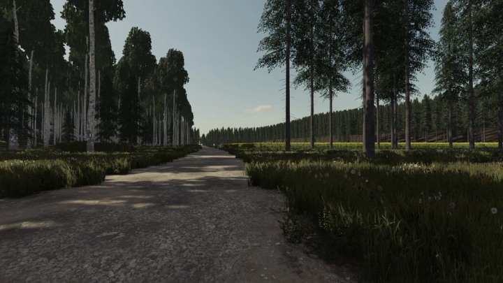 fs22-mods,  Ocean Side Forest v1.0.0.0