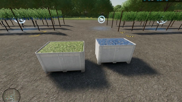 fs22-mods,  Red and White Grapes Orchards v1.0.0.0