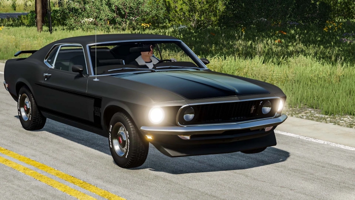 Image: Ford Mustang v2.0.0.0 3