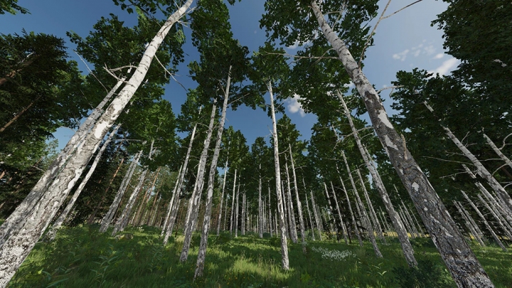 fs22-mods,  Karhuvaara Tree Pack (Prefab) v1.0.0.0