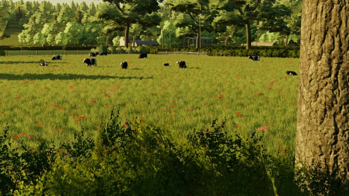 Image: BallySpring Map v1.0.0.0 5