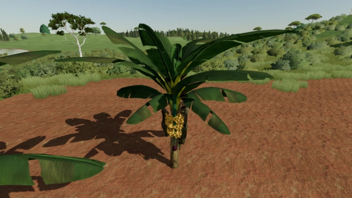 Image: Banana Tree v1.0.0.0 2