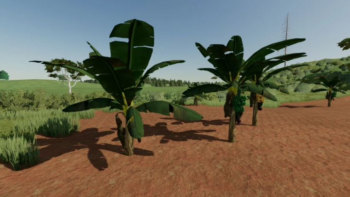 Image: Banana Tree v1.0.0.0 1