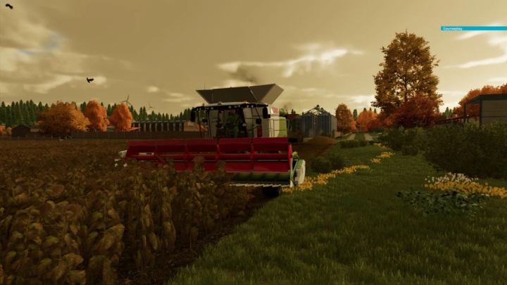 Image: Claas C600 Sunflower BETA v1.0.0.0 0