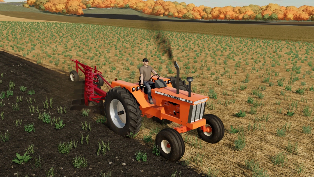 Allis Chalmers D21 v1.0.0.0