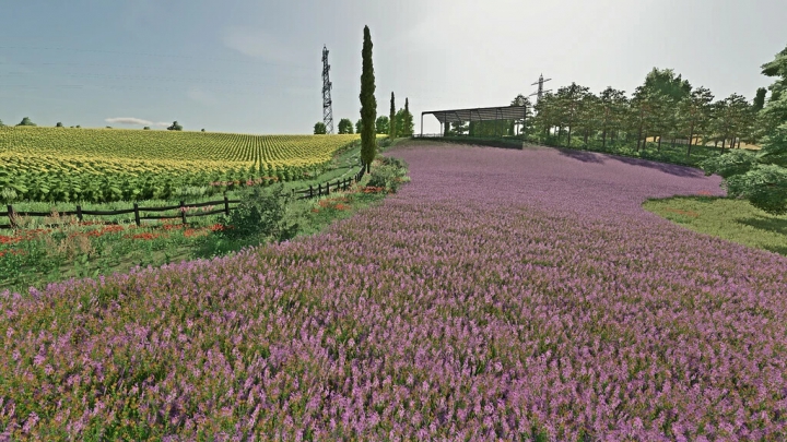 Image: Hills Of Tuscany v1.1.0.2 3