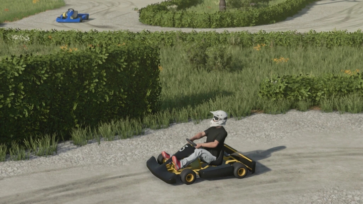 fs22-mods, Lizard Kart v1.0.0.0