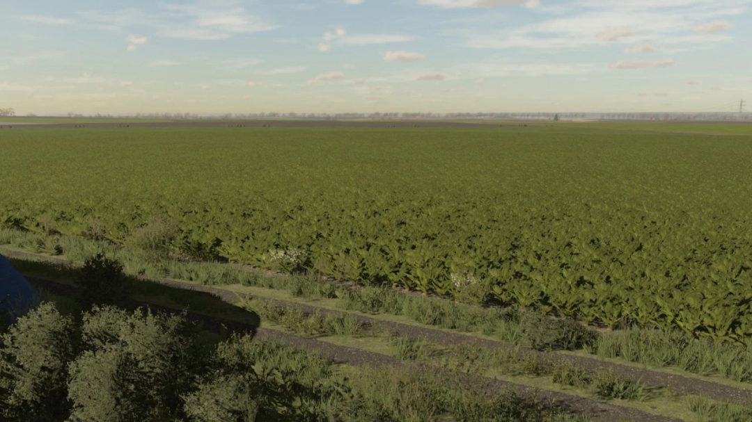 Sugar beet textures v1.0.0.0