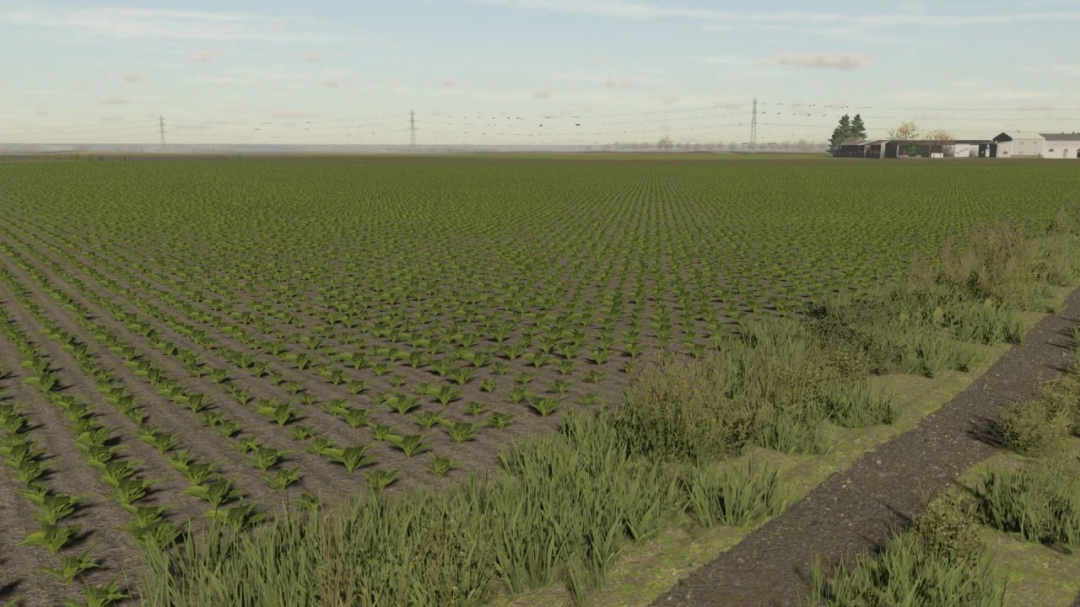 Sugar beet textures v1.0.0.0