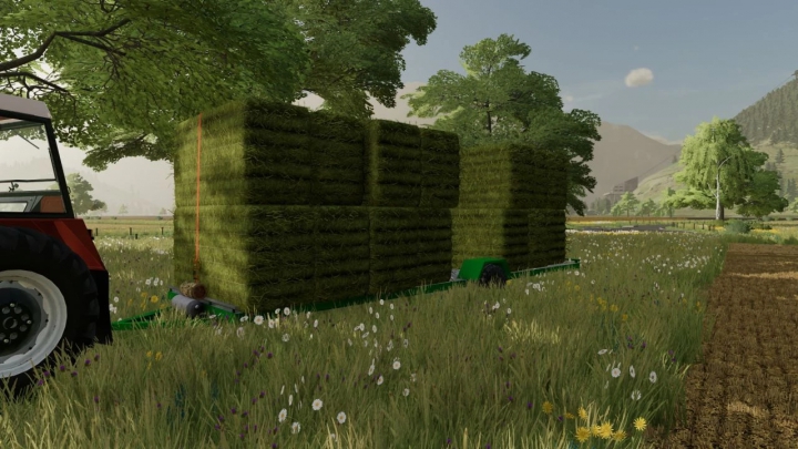 fs22-mods,  STS bale trailer v1.1.0.0